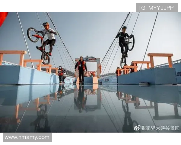 南京极限运动队与杭州极限运动队赛后战术分析与复盘探讨