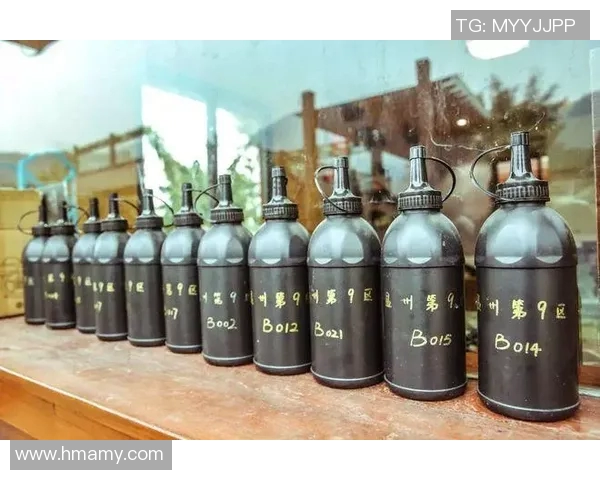重庆极限运动队运营体系探秘与战术创新分析 重庆极限运动队运营体系探秘与战术创新分析